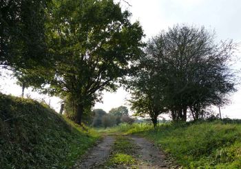 Secret < Un chemin creux < Thiérache < Aisne < Hauts-De-France - Photo